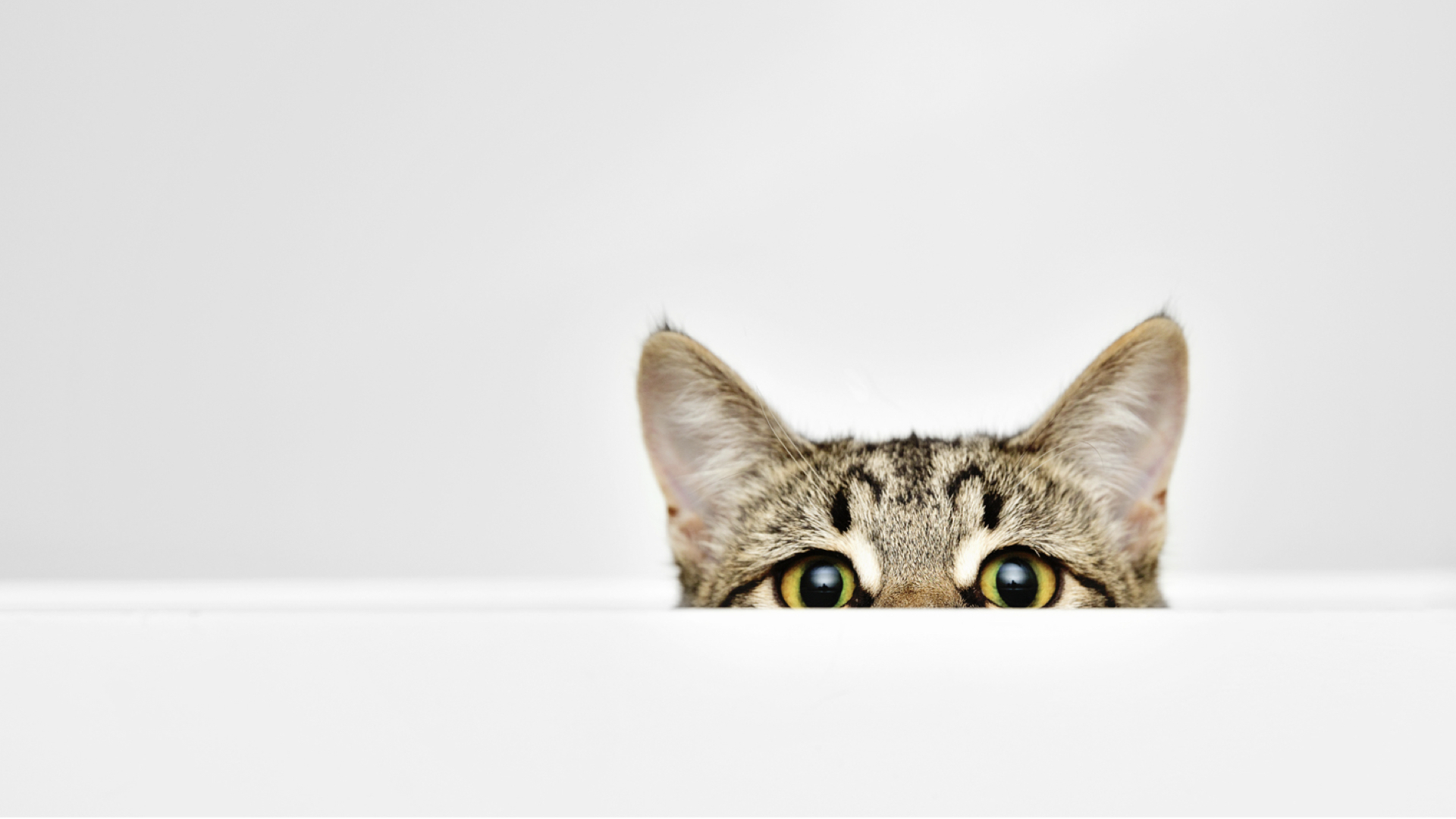 Becoming a UX desginer - WeWork 2020 2.017 | How Might We Becoming a UX designer presentation - slide 15